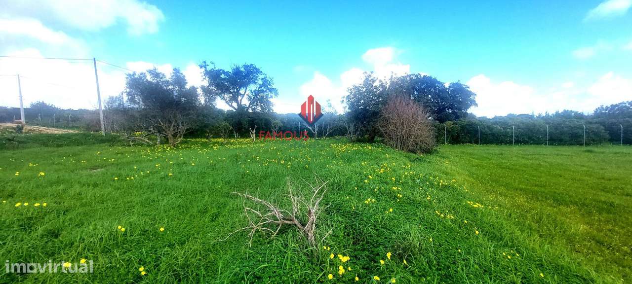 TERRENO RÚSTICO - VALE DA VILA - SILVES-22