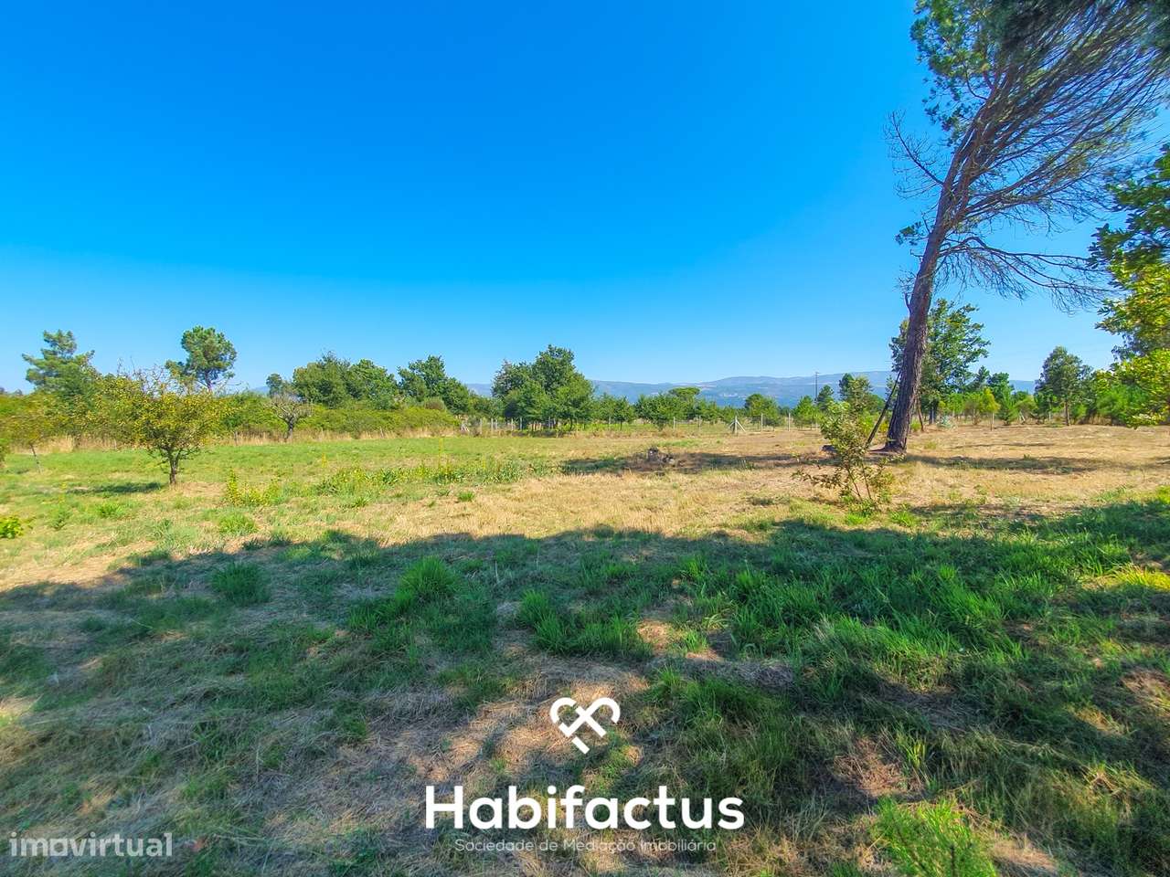 Terreno Rústico de 5.200m² em Vila Chá, Seia – Privacidade, Natureza e - Grande imagem: 4/6