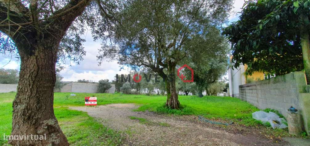 Terreno rústico com viabilidade de construção – Ortigosa - Grande imagem: 1/7