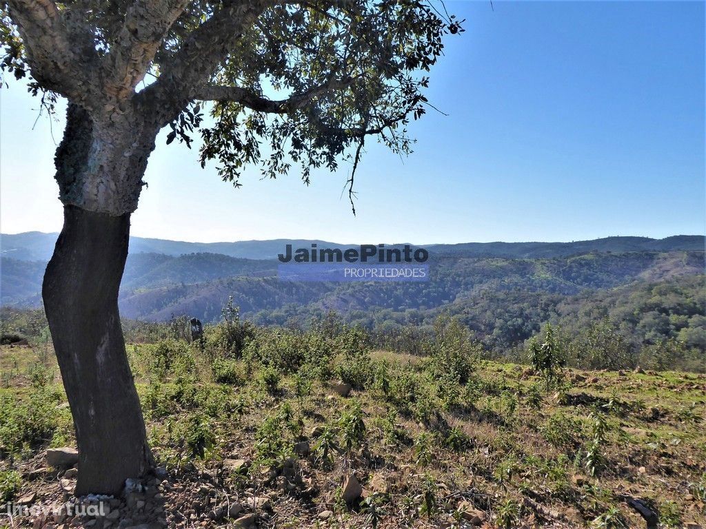 170HA com cortiça e casa na Serra do Caldeirão. Portugal. Alentejo,...