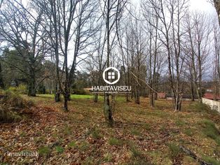 Terreno Para Construção  Venda em Sátão,Sátão - Grande imagem: 4/9