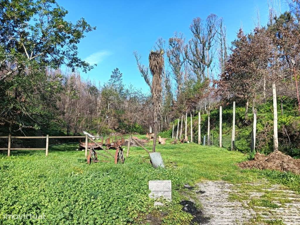 Terreno / Quinta para construção de moradia - Angeja - Grande imagem: 4/21