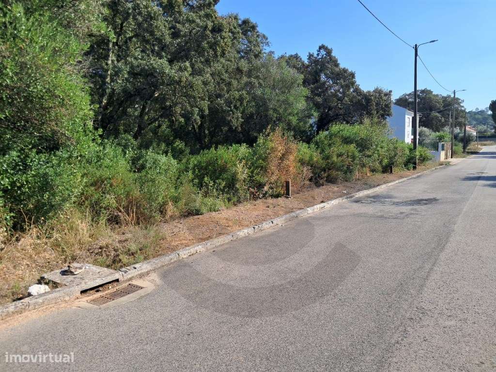 Lote para construção na Vila de Minde - Grande imagem: 2/2