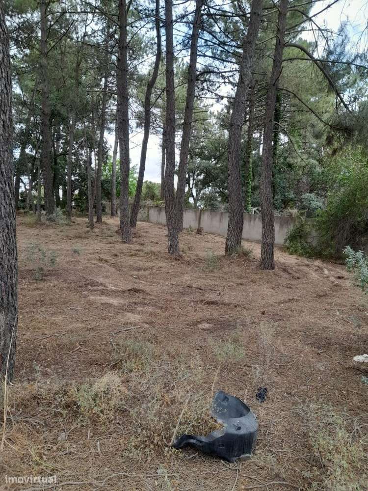 Azeitão / Brejos Azeitão Terreno 5000m2 .-10