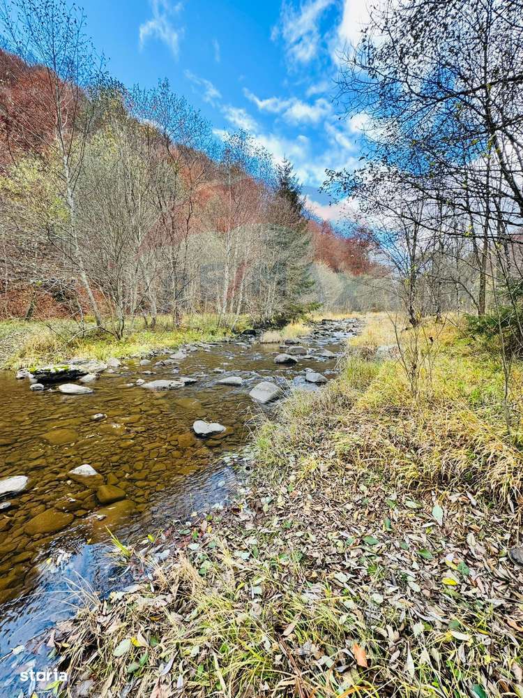 Teren 4,877mp Mara / Strada Principala - Imagine principală: 2/8