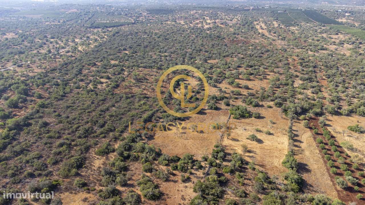 Terreno rústico de 1.2 hectares em Alte, Loulé - Grande imagem: 5/16