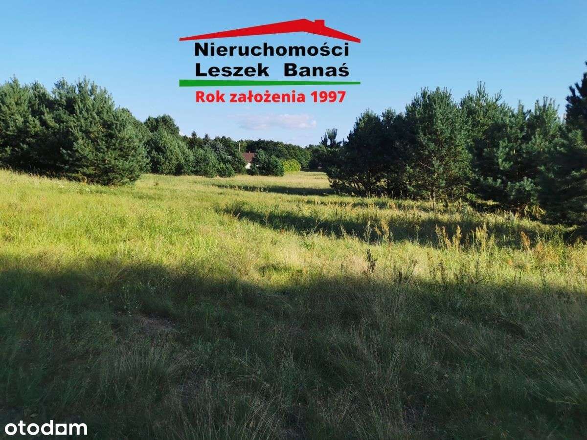 Działka rolna granicząca z lasem-7