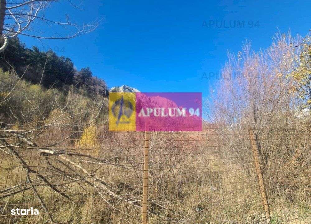 Teren intravilan de vânzare în Bușteni - Zona centrala - Imagine principală: 4/19