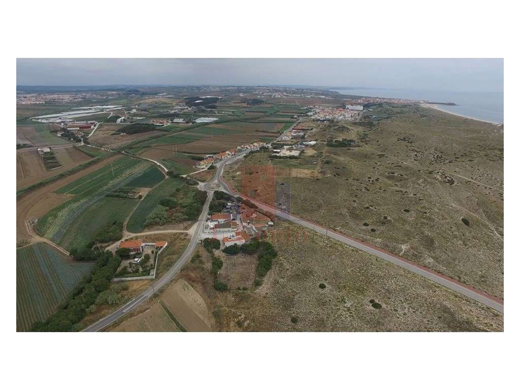 Terreno com viabilidade de construção de 12 fogos ou 11 lotes - Grande imagem: 1/14