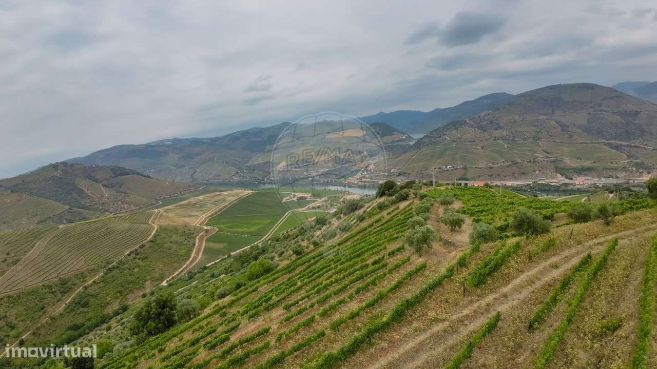 Terreno  para venda - Grande imagem: 3/11