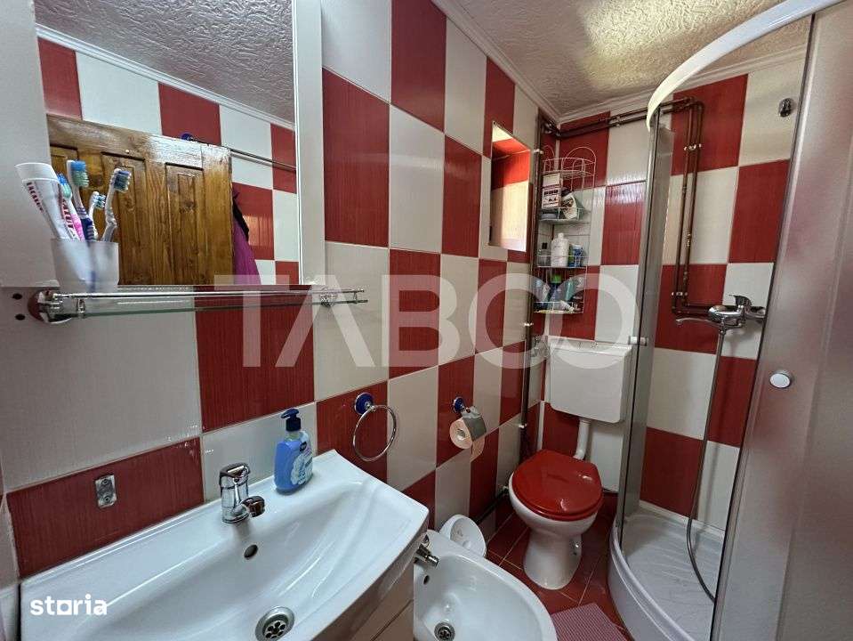 Cabana spatioasa la 5 km de Partia Sureanu complet utilata-12