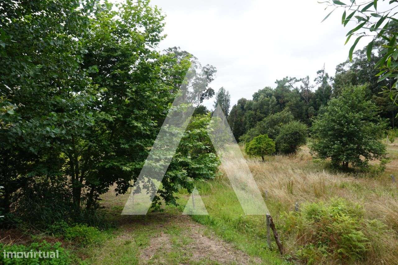 Terreno agrícola situado na zona de Horta em Eixo, Aveiro - Grande imagem: 2/25