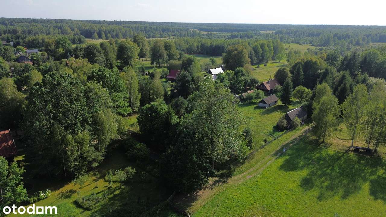 Stare Masiewo - 1840 m2 z budynkiem gospodarczym! PUSZCZA BIAŁOWIESKA! - Pełny obrazek: 4/18