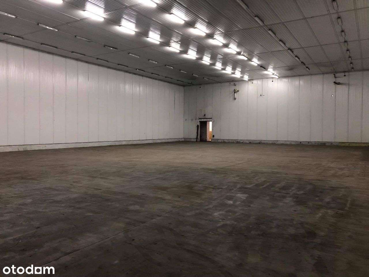 Wynajmę Magazyn Hale produkcyjno magazynowe różne - Pełny obrazek: 4/5