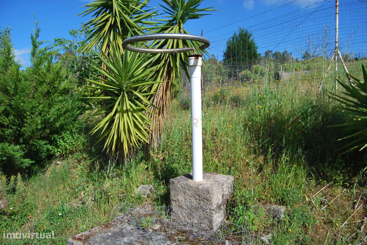 Terreno rústico 28200m2 em Vale do Junco, Chamusca, Golegã-35