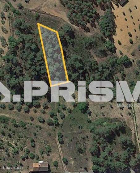 Terreno Rústico para Venda em Sarzedas. - Grande imagem: 2/2