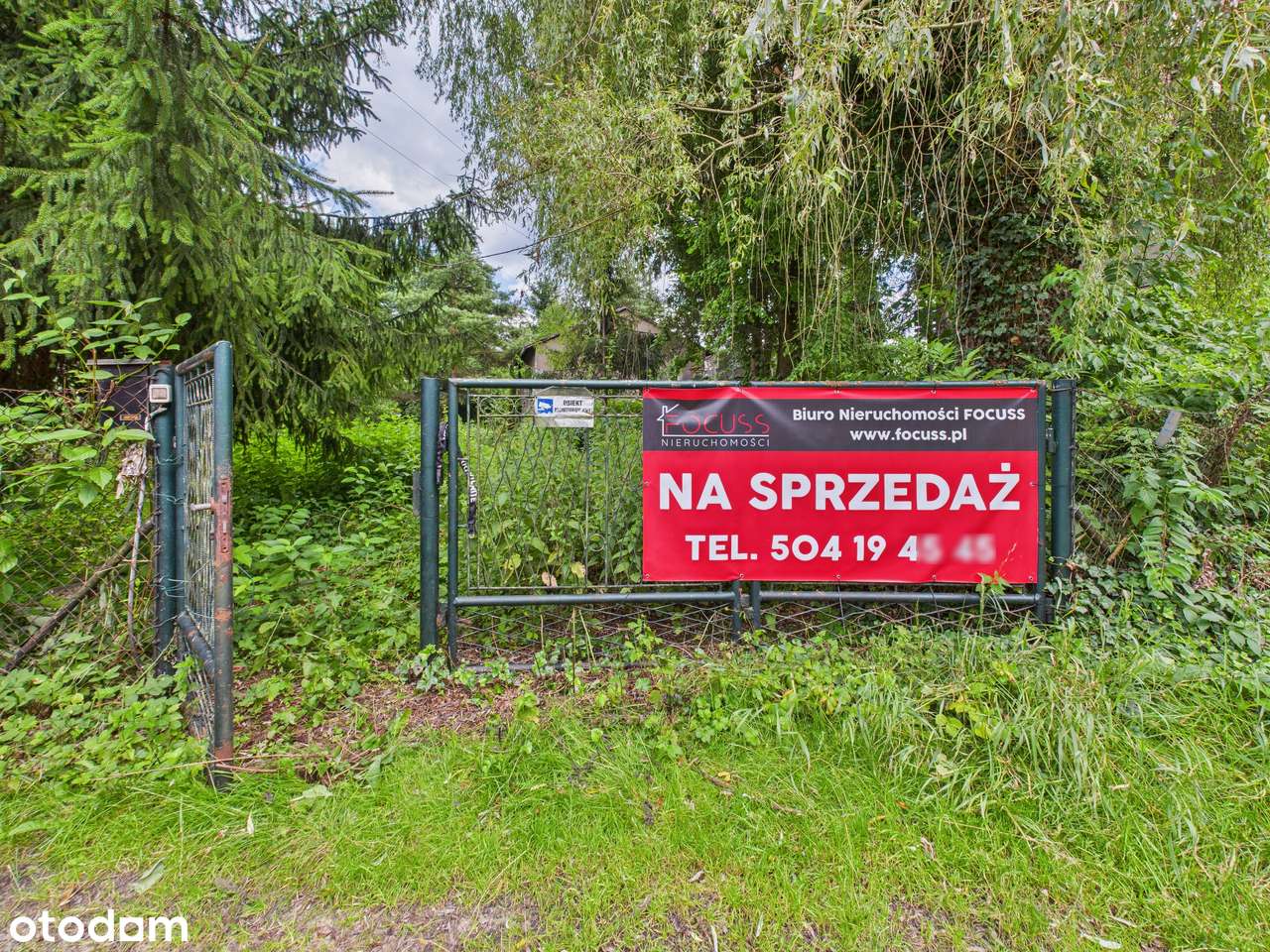 Zielona Działka z Własnym Źródłem i Stawem w Świetnej Lokalizacji!-5