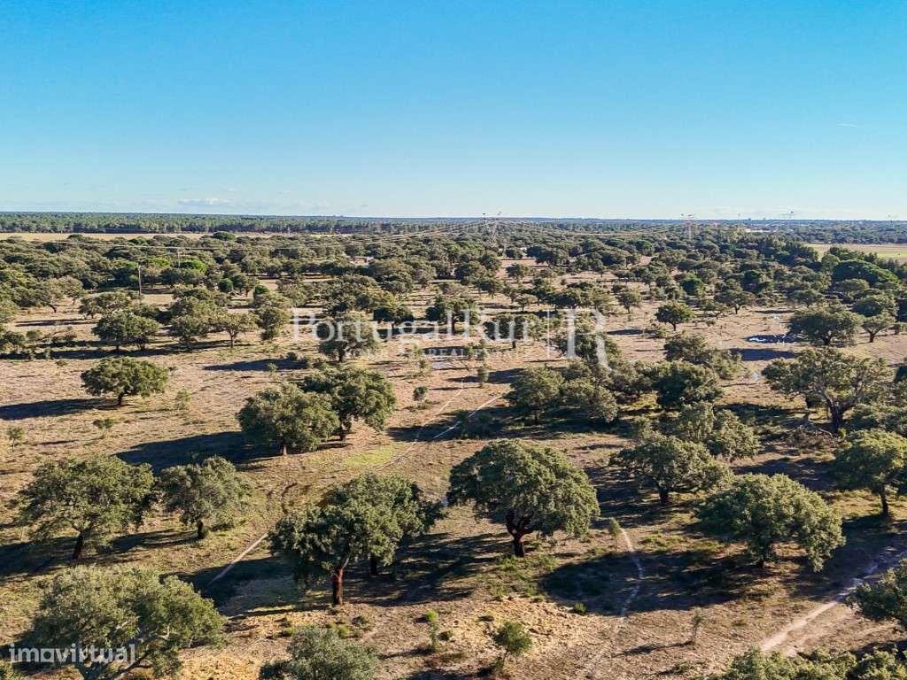 Herdade de 60 hectares para criação bovina e equina perto de Lisboa-23