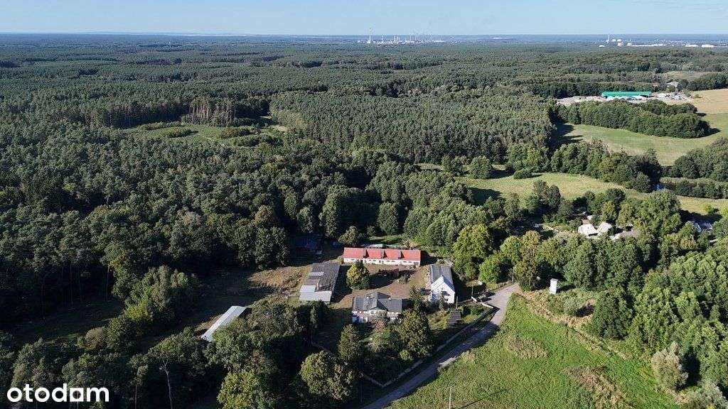 Lokal użytkowy, 1 240 m², Sierakowo - Pełny obrazek: 5/20