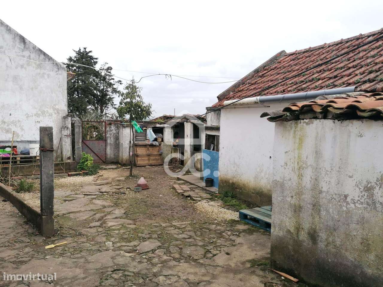 OPORTUNIDADE – Moradia T3 com Anexos e Terreno Amplo, no Bombarral. - Grande imagem: 2/16