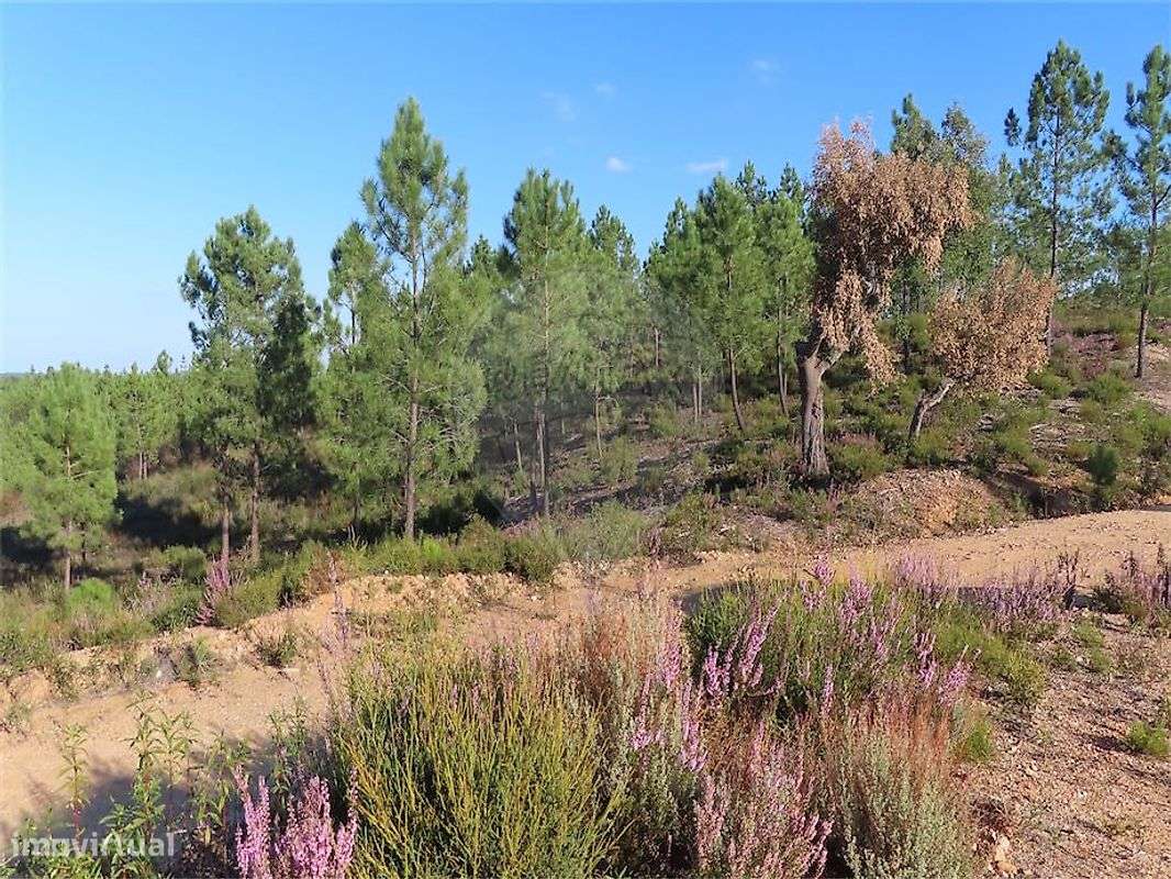 Quinta  para venda - Grande imagem: 3/18