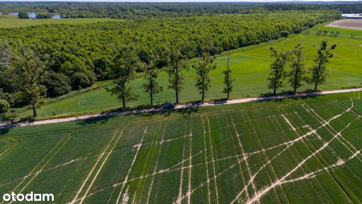 Chludowo, Budowlana, ul. Maniewska. 1200 m2. MPZP-9