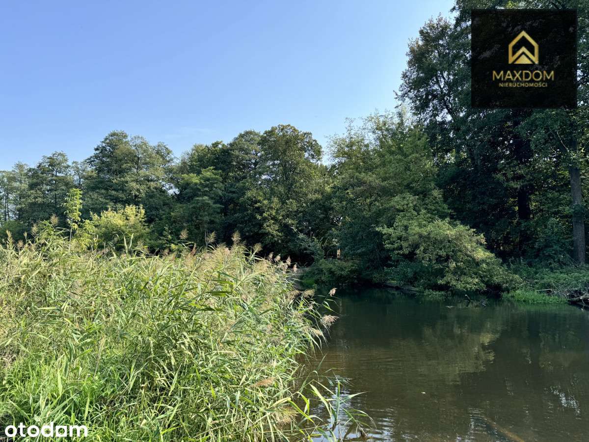 Urokliwa działka budowlana wśród lasu blisko rzeki - Pełny obrazek: 5/16
