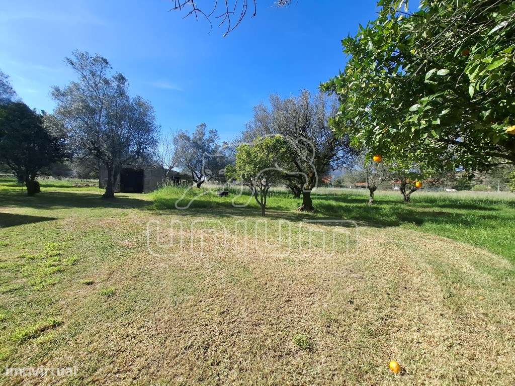 Terreno em Fontão - Ponte de Lima - Grande imagem: 4/7