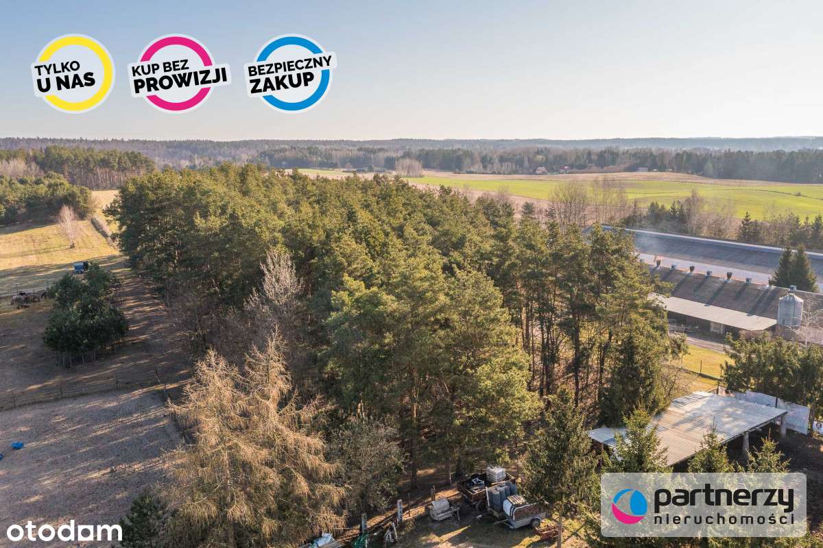 Twój własny kawałek natury nad jeziorem Szeląg - Pełny obrazek: 4/7