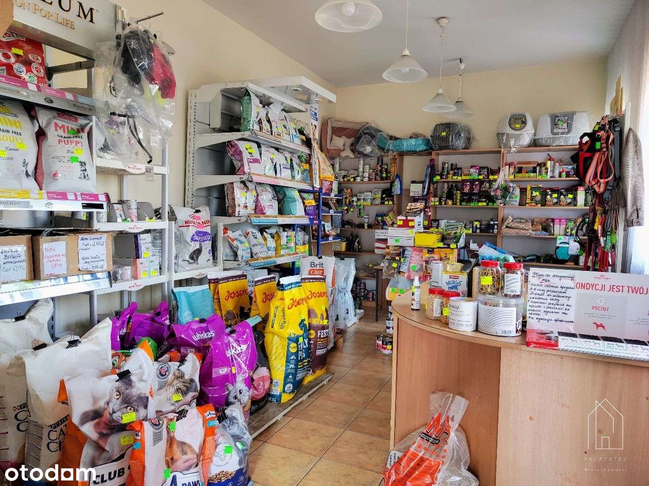 Lokal usługowy 130 m² - przychodnia weterynaryjna - Pełny obrazek: 3/14