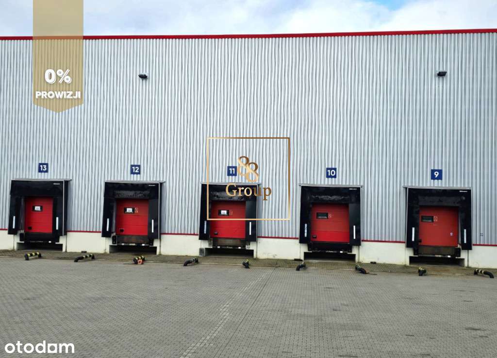 5619 m2 Baniocha Piaseczno - Pełny obrazek: 4/8