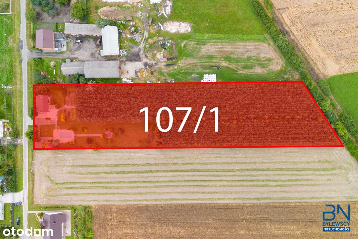 Las | Basen | Domek | Ustronie, gm. Borek Wlkp. - Pełny obrazek: 4/20