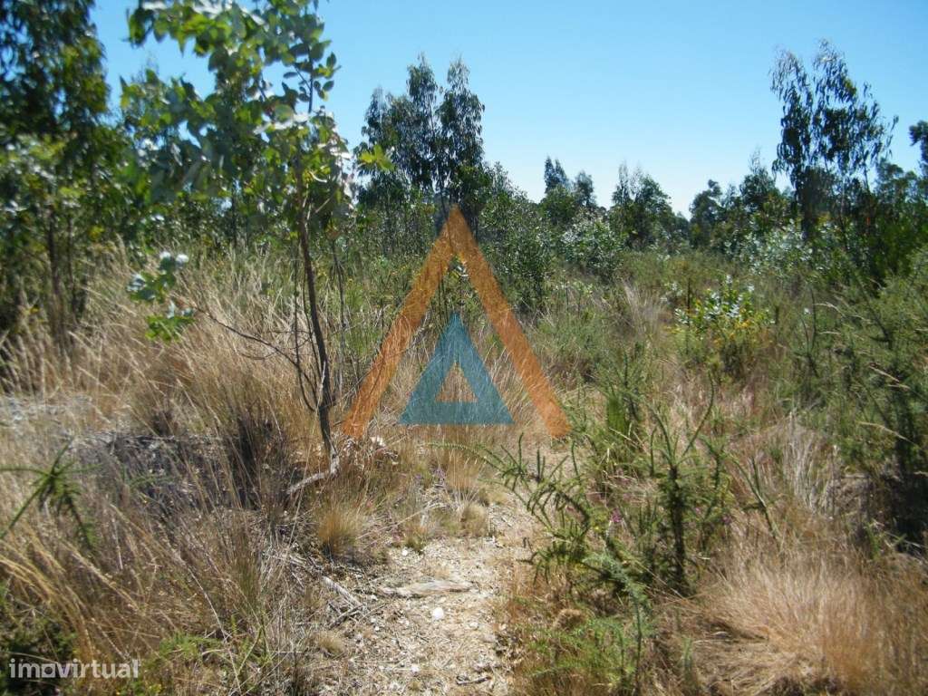 Terreno com imenso potencial - Grande imagem: 2/4