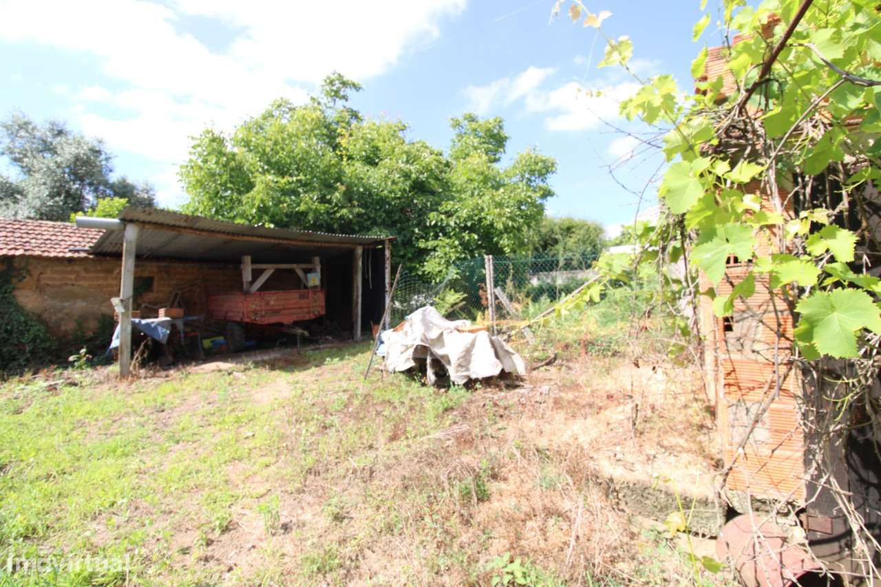 Moradia T3 para reabilitar em Oliveira do Bairro-15