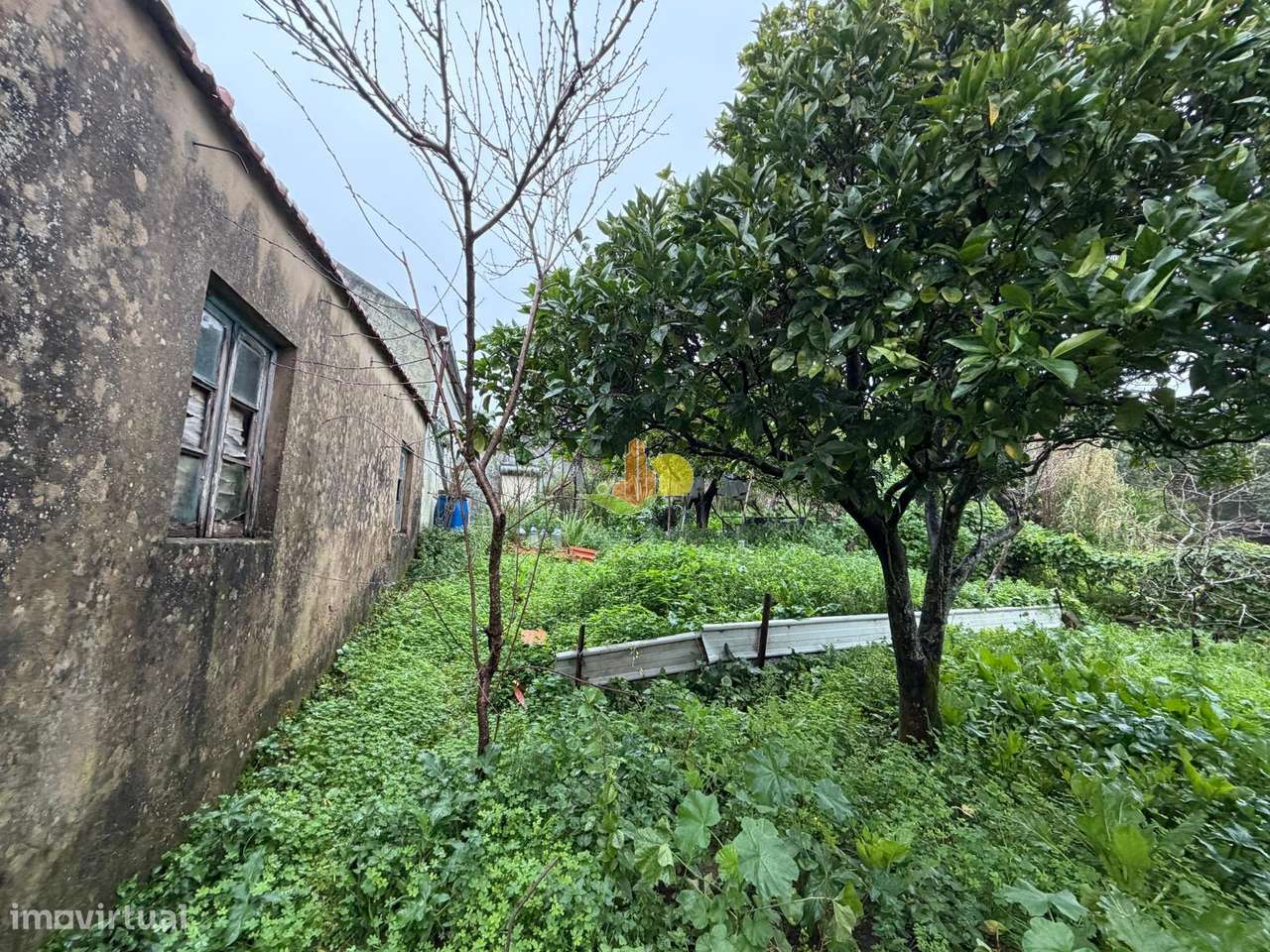 Casinha para remodelar - Grande imagem: 4/18