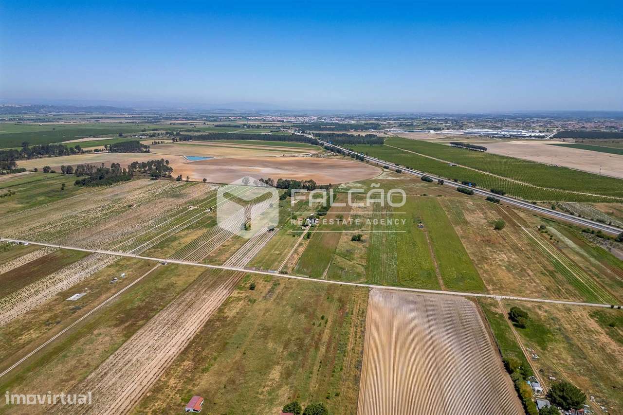 Terreno Rústico  Venda em Almeirim,Almeirim - Grande imagem: 4/21