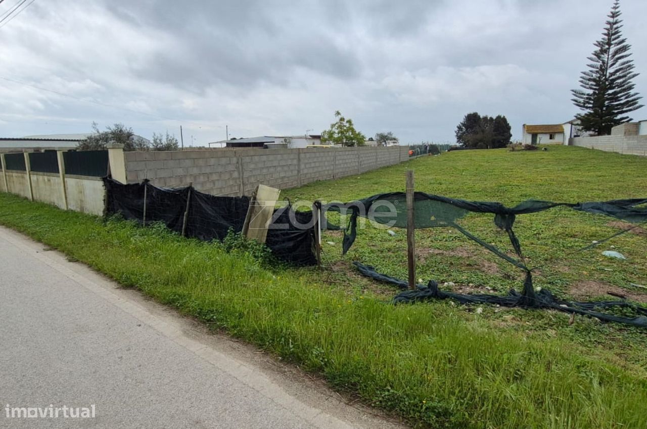 Terreno de 2.918m2 em Benavente - Grande imagem: 1/4