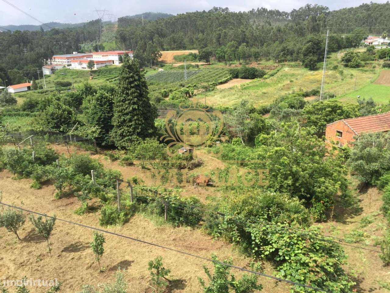 Quinta com armazém em Ossela, Oliveira de Azeméis-24