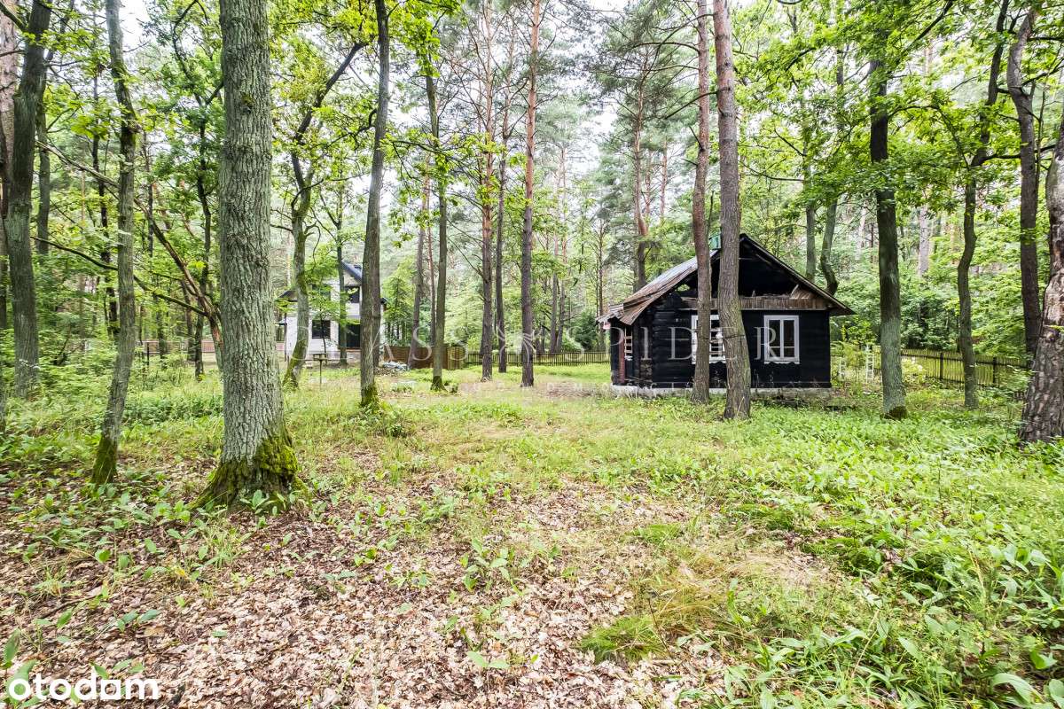 ⚡Działka rekreacyjna w lesie⚡Niedaleko Narew⚡ - Pełny obrazek: 4/18