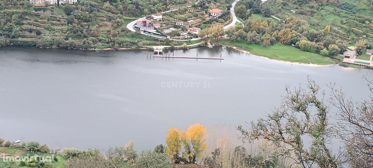 Terreno florestal  no início de Barqueiros,  de Mesão Frio Portas do D