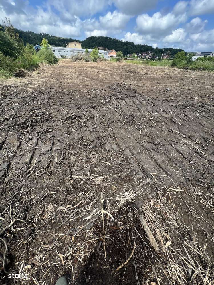 Vând 7 arii teren intravilan toate utilitățile la strada - Imagine principală: 2/5