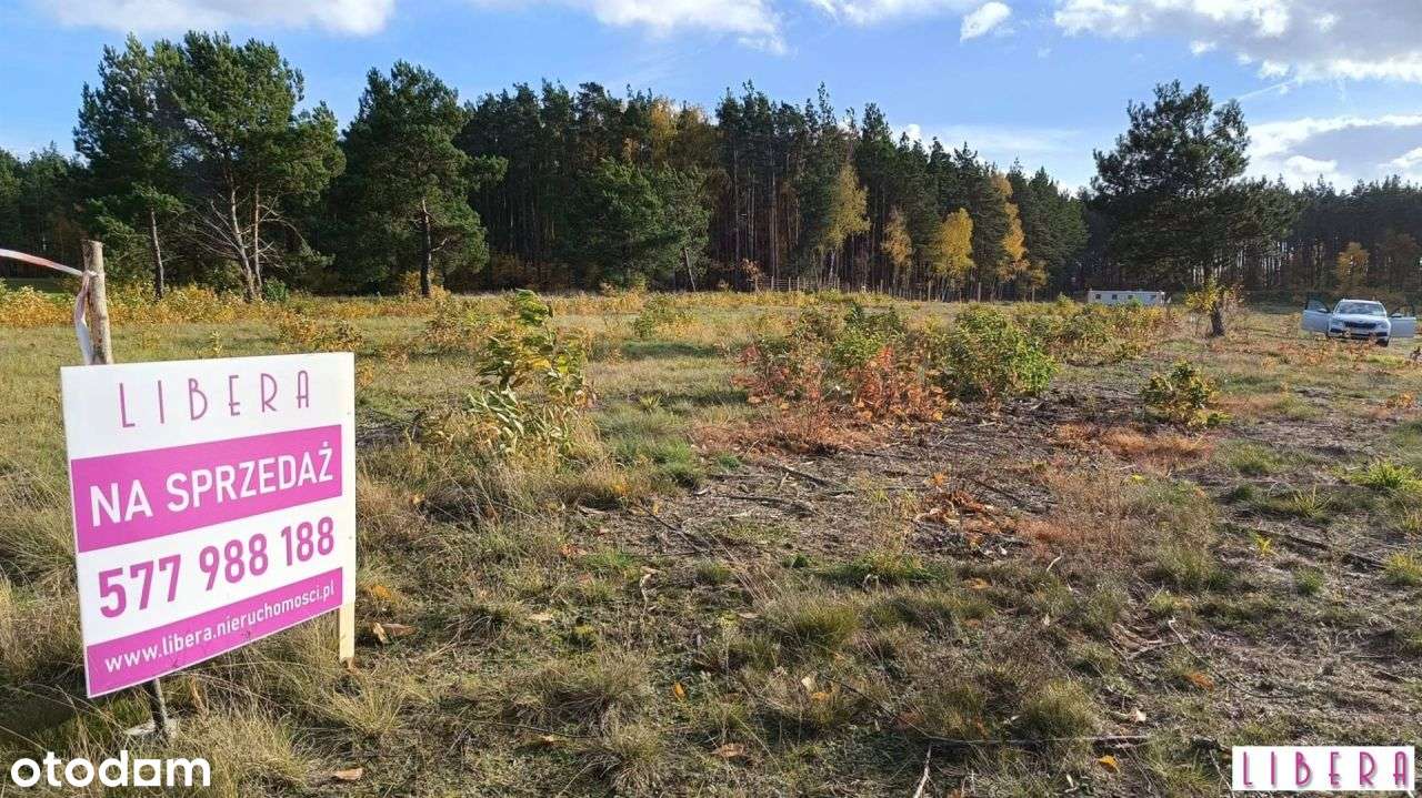 Tylko u nas! Działka, Godzimierz-10