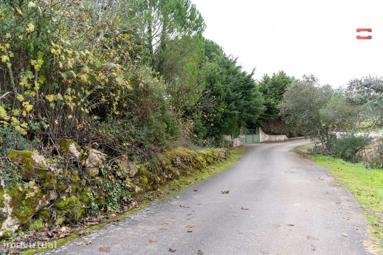 TERRENO COM 1576 m² EM ATOUGUIA - Grande imagem: 5/10