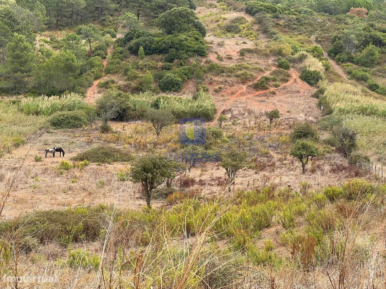Terreno em Cucos na Ventosa para culturas diversas - Grande imagem: 5/22