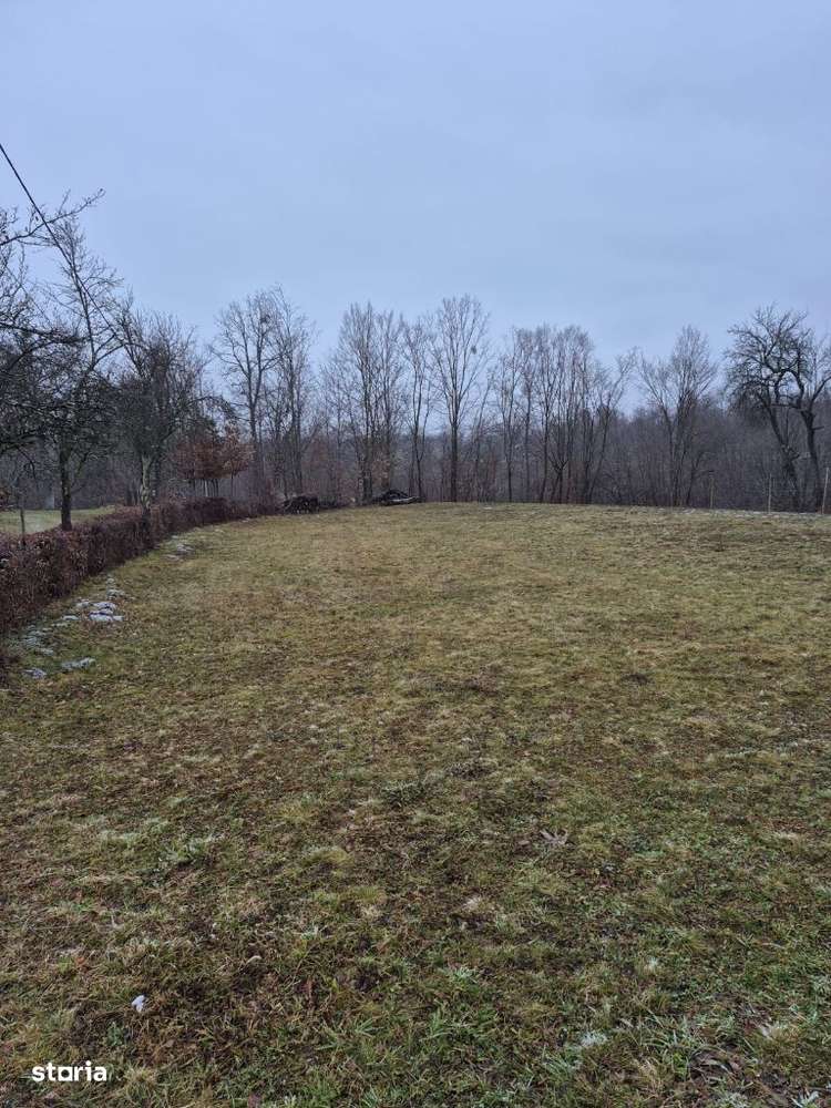 Coas, 15-30 ari teren - Imagine principală: 5/5