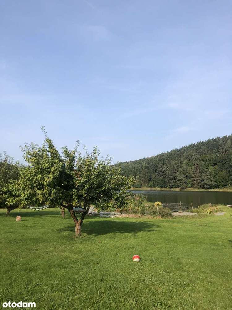 Działka z linią brzegową + Pozwolenie na budowę - Pełny obrazek: 5/9