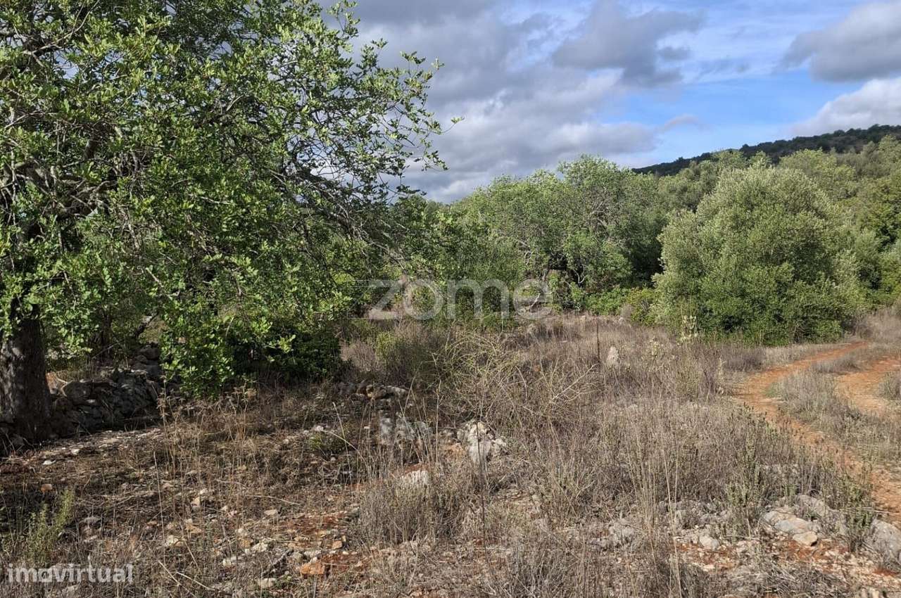 Terreno Rústico em Cerro Monte Brito com 11.460m2 - Grande imagem: 2/25