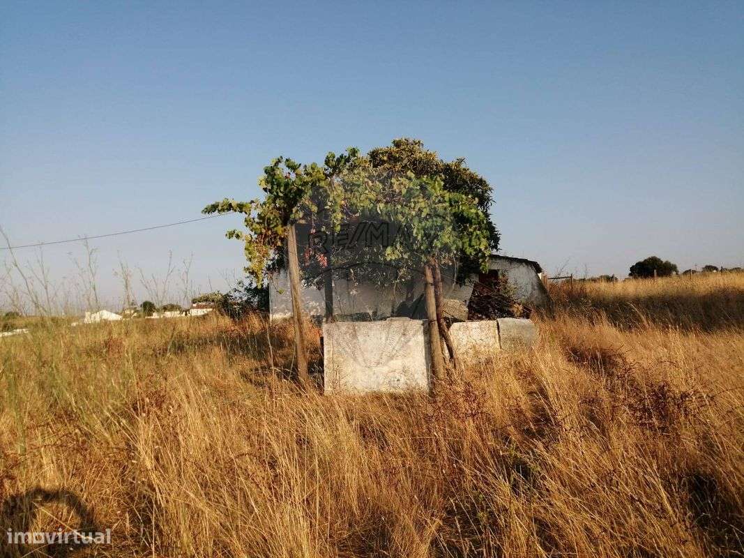 Quinta  para venda - Grande imagem: 3/7