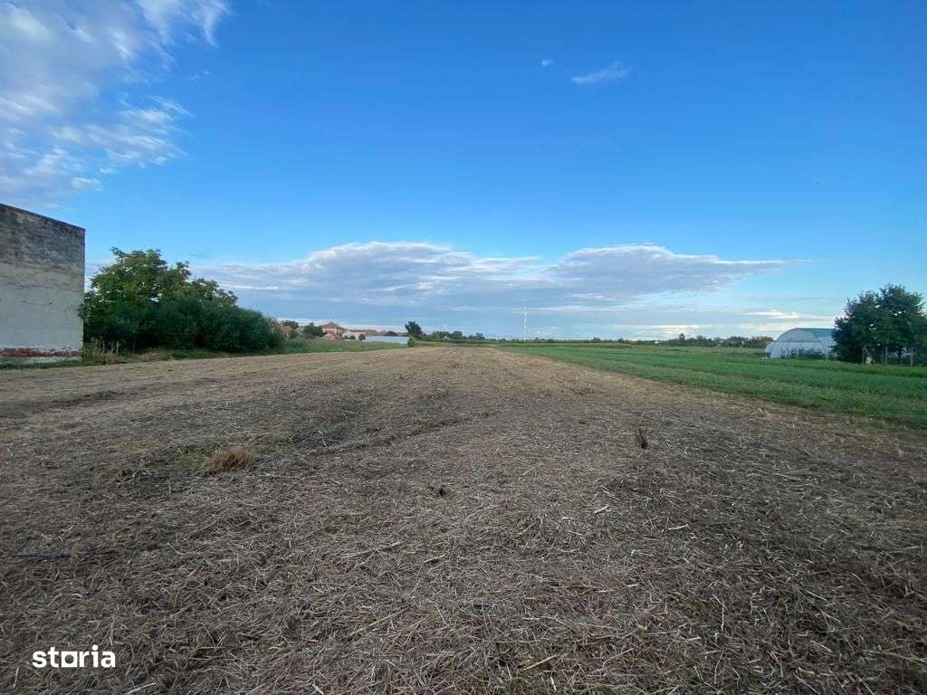 Terenuri de vânzare Boldur - Imagine principală: 4/4