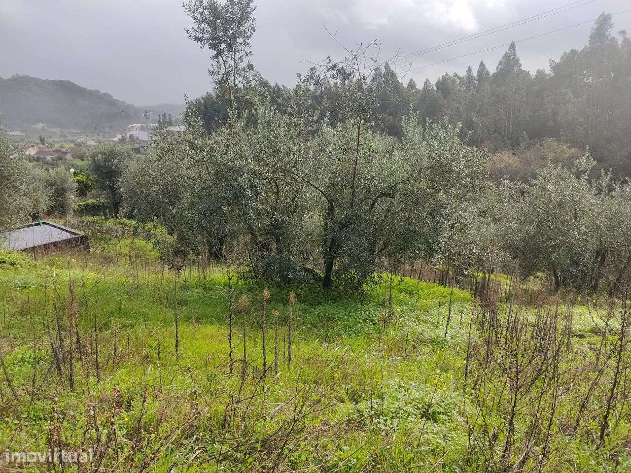 Terreno Rústico localizado no Alqueidão, Ourém - Grande imagem: 2/10